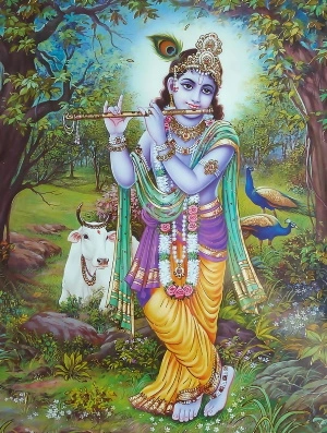 Ekadashi Krishna